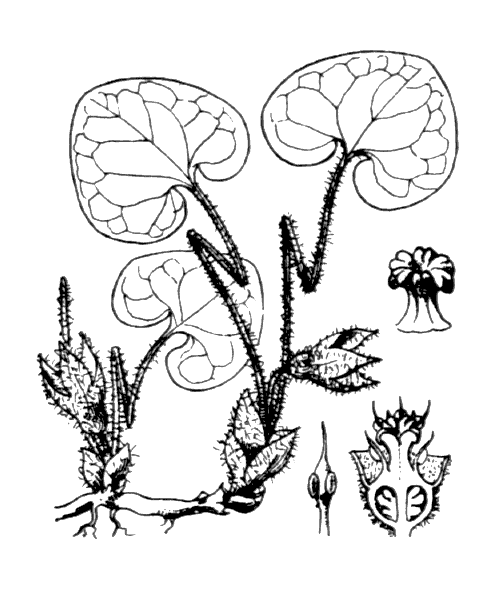 Illustration de Coste