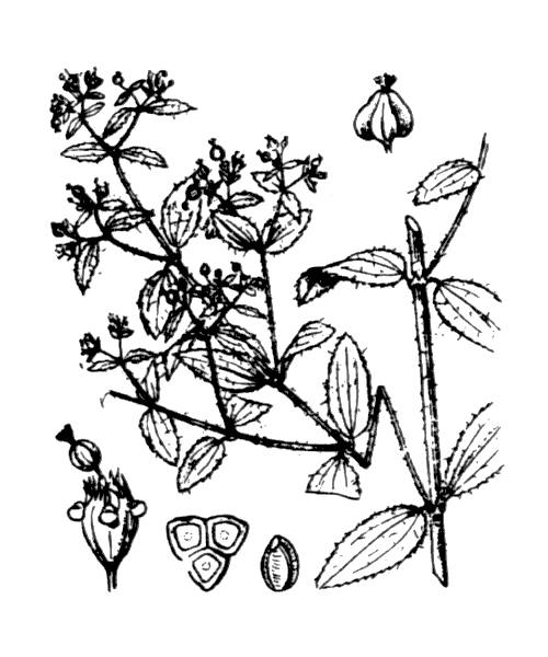 Illustration de Coste