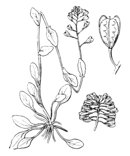 Illustration de Coste