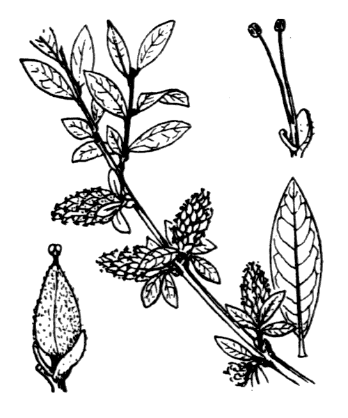 Illustration de Coste