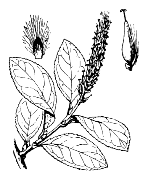 Illustration de Coste