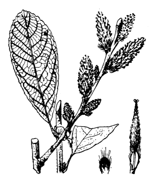 Illustration de Coste