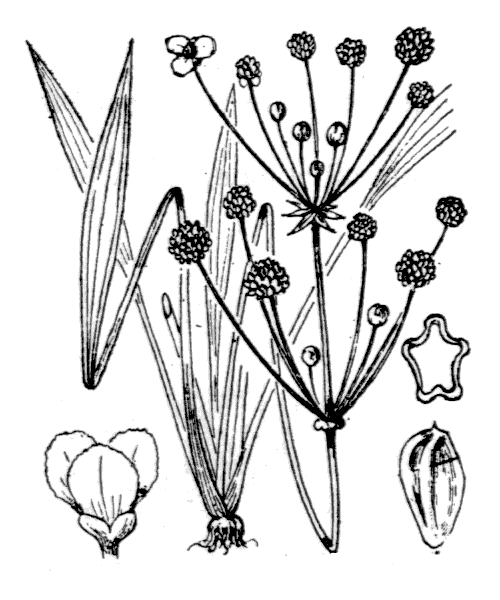 Illustration de Coste