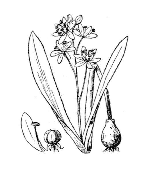 Illustration de Coste