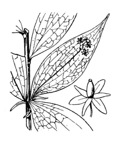 Illustration de Coste