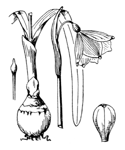 Illustration de Coste