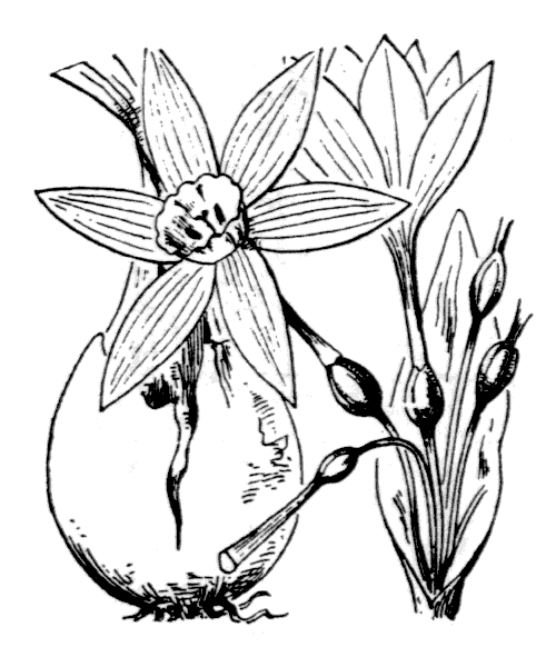 Illustration de Coste