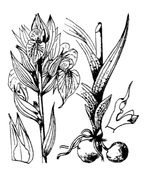 Illustration de Coste