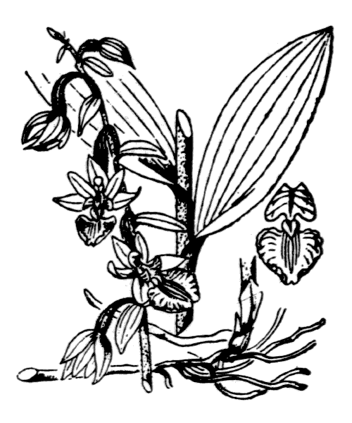 Illustration de Coste