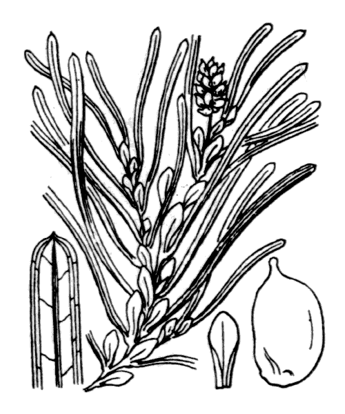 Illustration de Coste