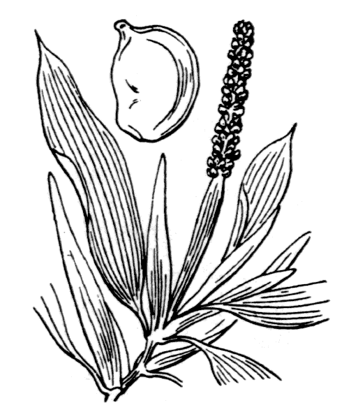 Illustration de Coste