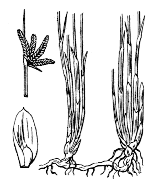 Illustration de Coste