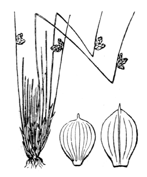 Illustration de Coste