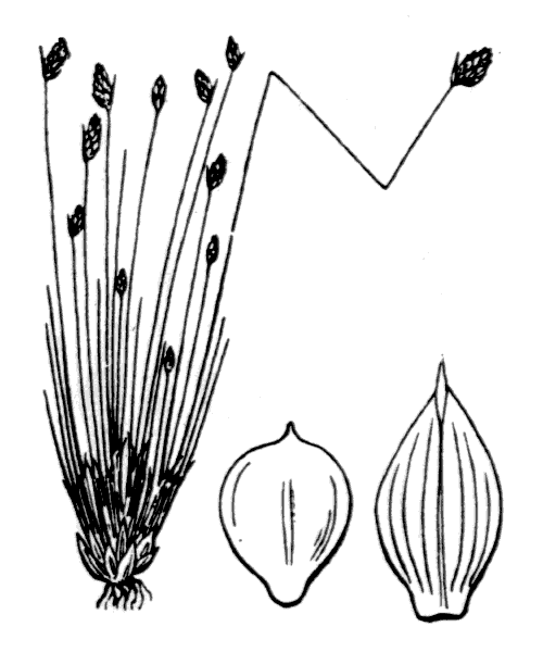 Illustration de Coste