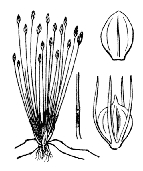 Illustration de Coste