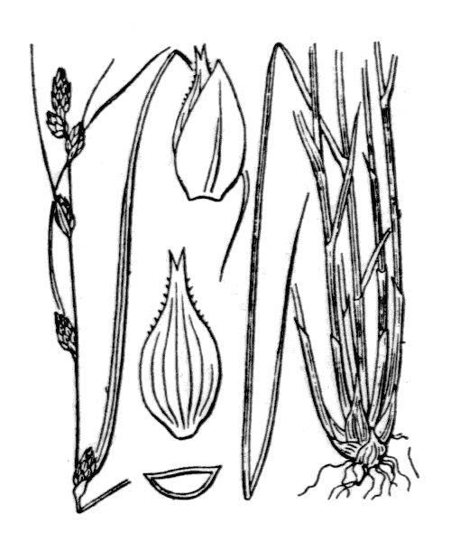 Illustration de Coste