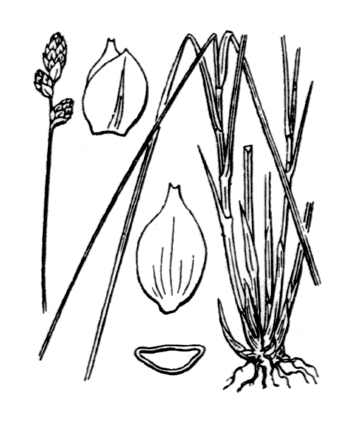 Illustration de Coste