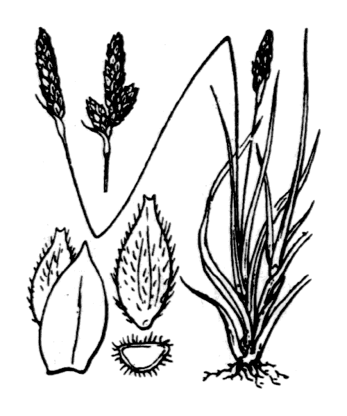 Illustration de Coste