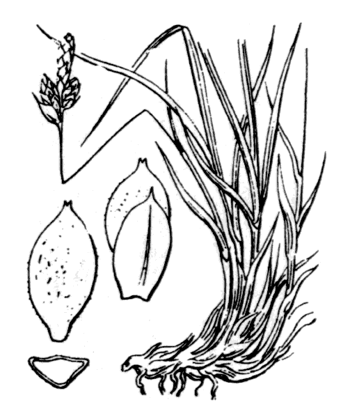 Illustration de Coste