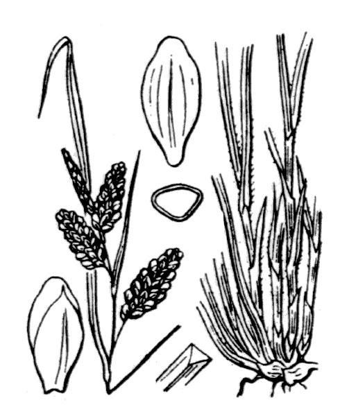 Illustration de Coste