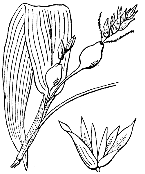 Illustration de Coste