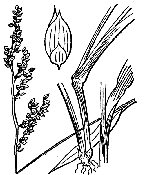 Illustration de Coste