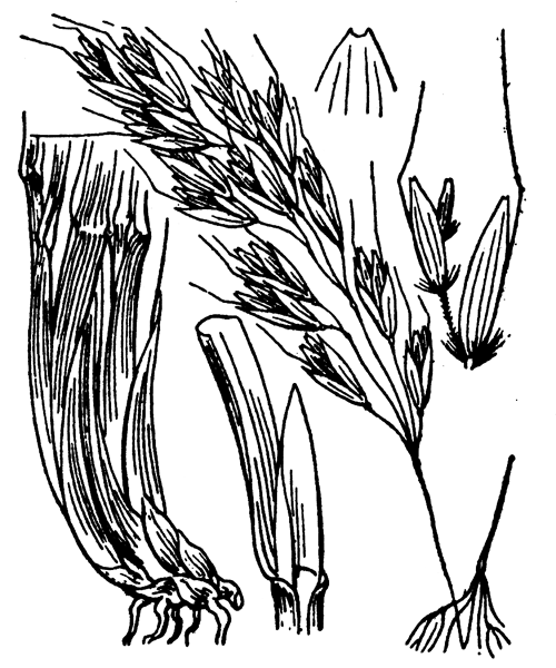 Illustration de Coste