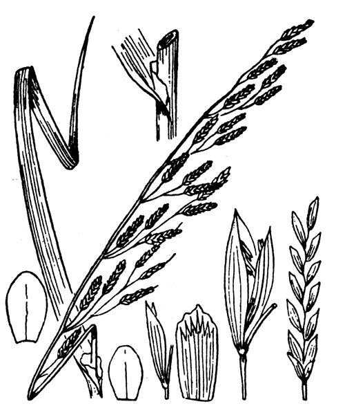 Illustration de Coste