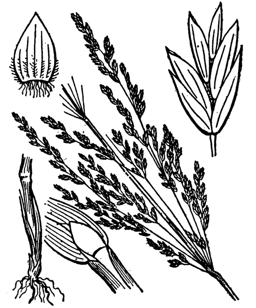 Illustration de Coste