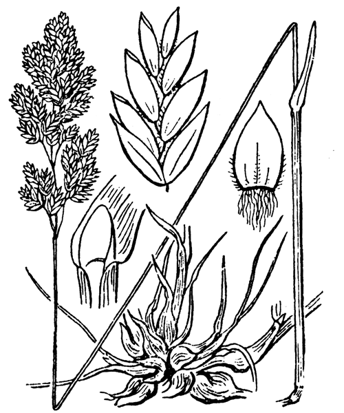 Illustration de Coste