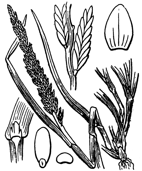 Illustration de Coste