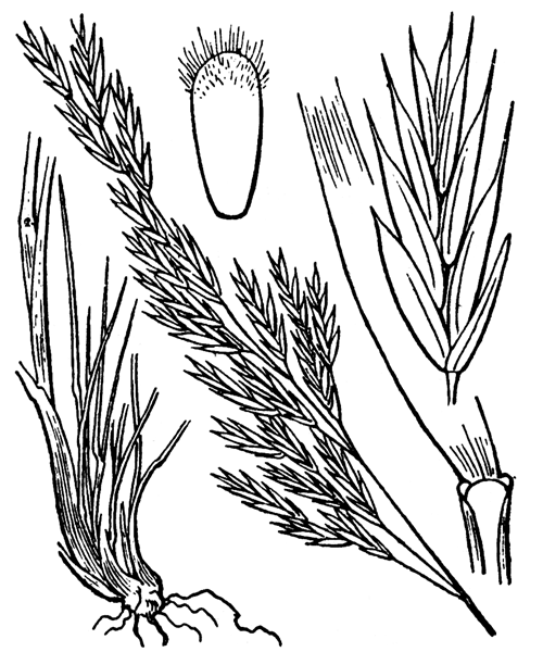 Illustration de Coste