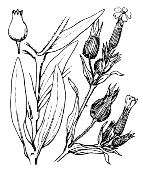 Illustration de Coste