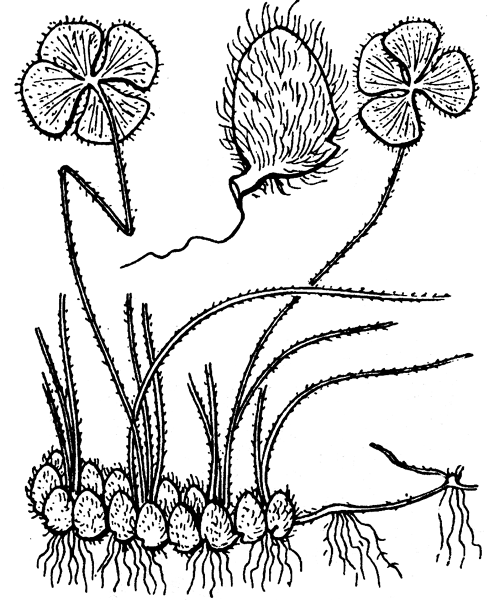 Illustration de Coste