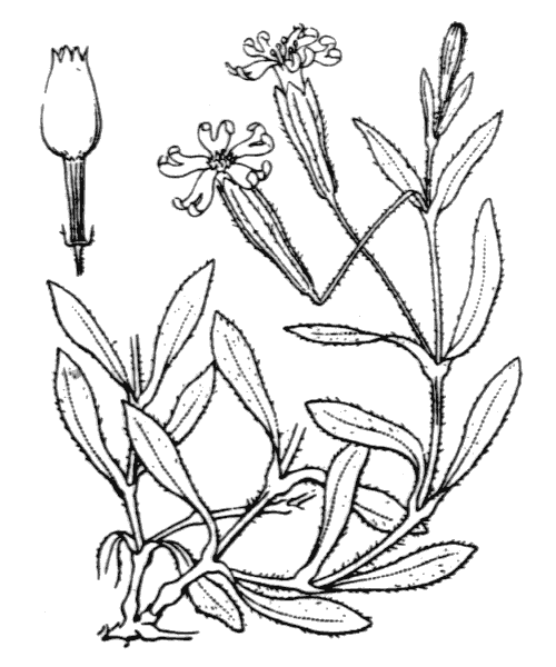 Illustration de Coste