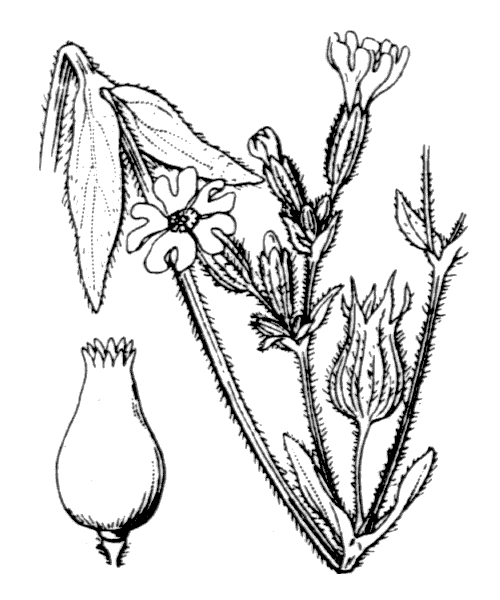 Illustration de Coste