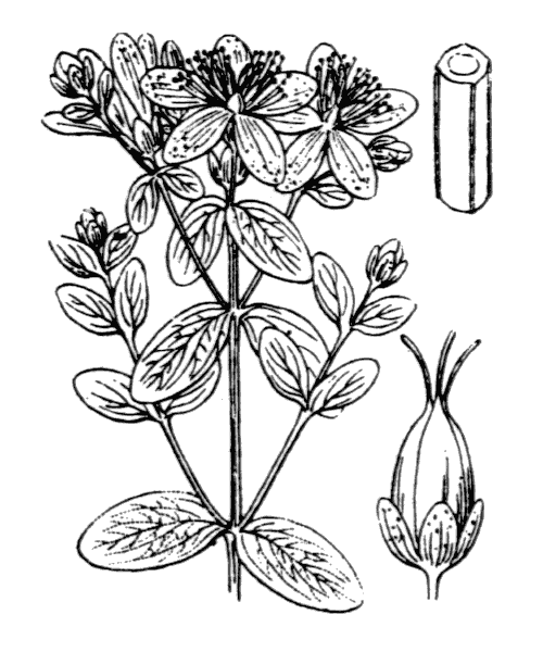 Illustration de Coste