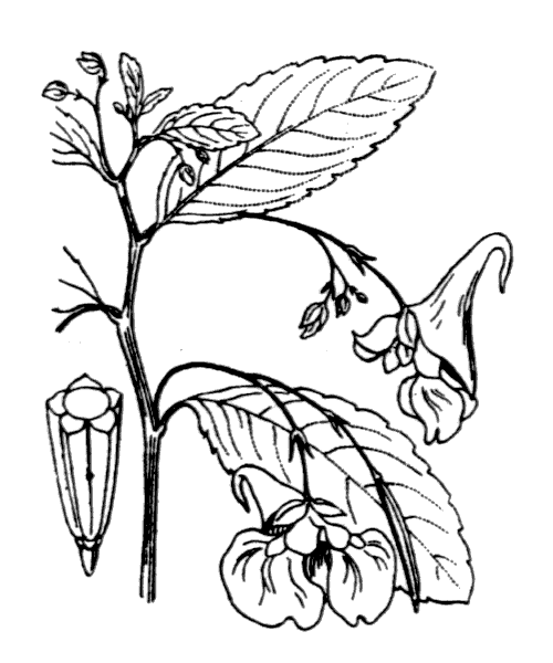 Illustration de Coste