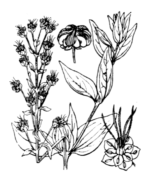 Illustration de Coste