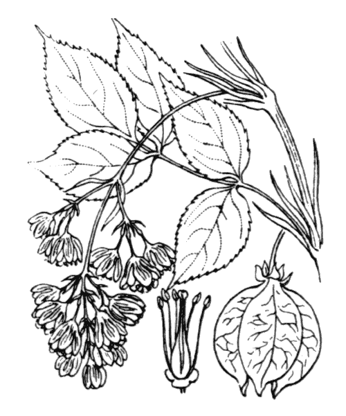 Illustration de Coste