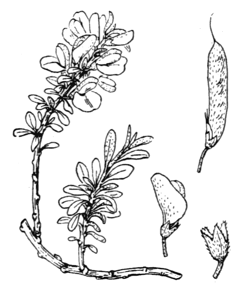 Illustration de Coste