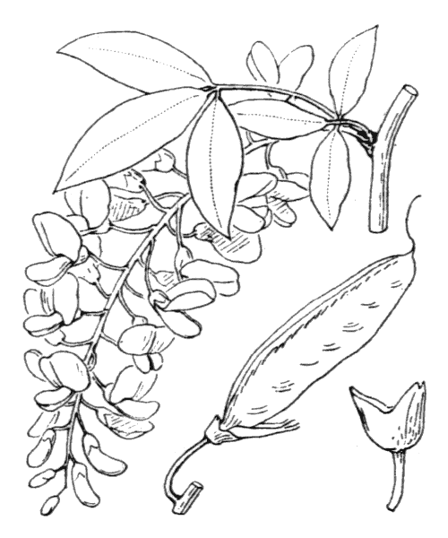 Illustration de Coste