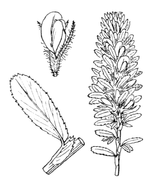 Illustration de Coste