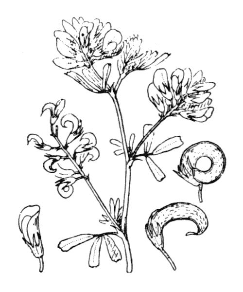 Illustration de Coste