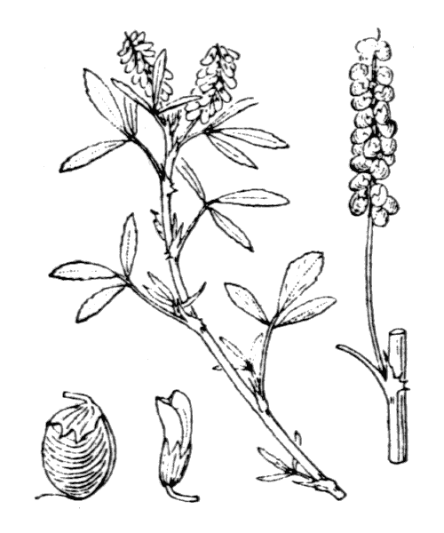 Illustration de Coste