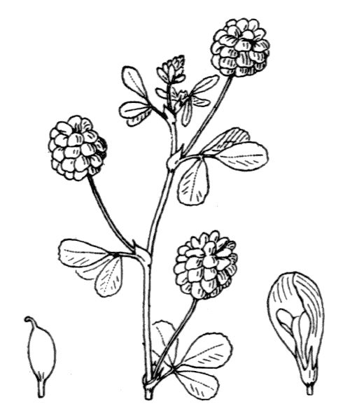 Illustration de Coste