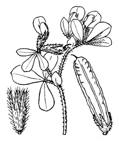 Illustration de Coste