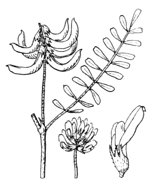 Illustration de Coste