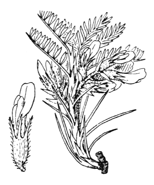 Illustration de Coste