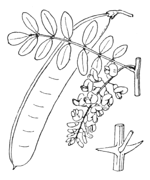 Illustration de Coste